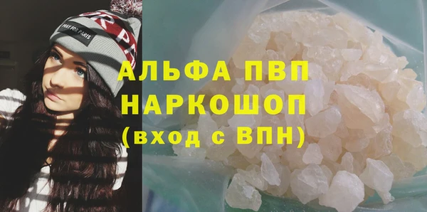 хмурый Алексин