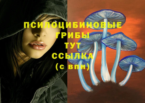 PSILOCYBIN Алексеевка