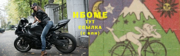 хмурый Алексин