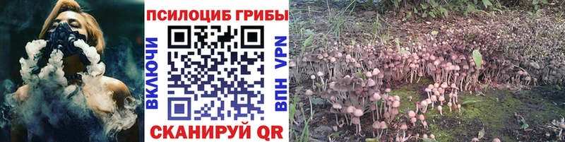 Галлюциногенные грибы ЛСД Карпинск